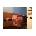 Klicek